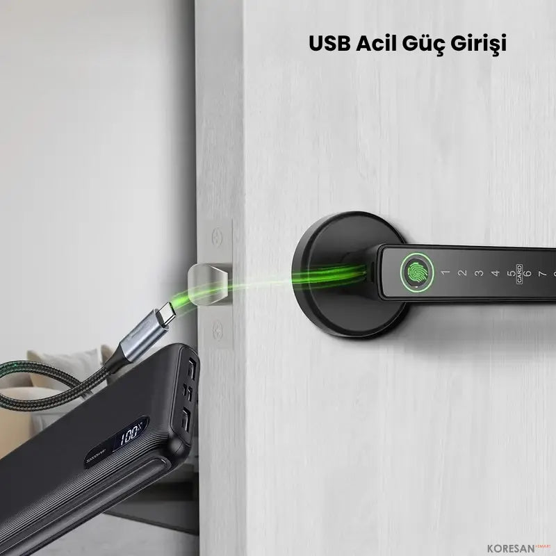 Tuya Uygulamalı, Parmak izli ve Şifreli Ofis ve Ahşap Kapılar için Akıllı Kapı Kilidi