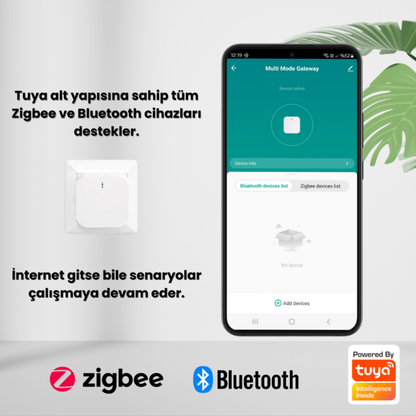 Priz Tipi Gateway - Zigbee + Bluetooth